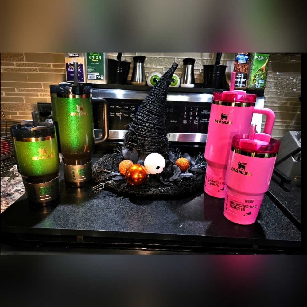 NWT COMPLETE all 4 Stanley Wicked tumblers collection from Target.